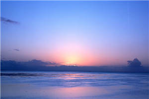 因爱成劫宁嘉歌墨闻城全文小说完结版阅读