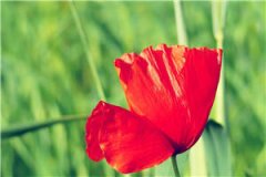 我和老板有个误会赵瑞盈盈全文全章节小说阅读