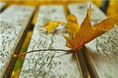 老婆参加节目我院士身份被曝光秦昊洛轻雪全文全章节小说阅读