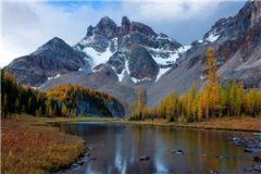 大佬追妻太辛苦余小小帝夜寒完结版小说全章节阅读