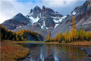 大佬追妻太辛苦余小小帝夜寒完结版小说全章节阅读