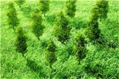 今夏炙热林知夏卓晏卿小说最新章节阅读