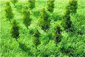 今夏炙热林知夏卓晏卿小说最新章节阅读