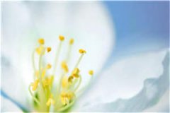 好看的小说_你是一场劫难时欢宋清晏最新章节阅读