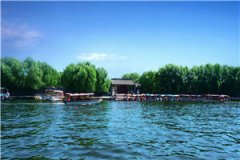 蛇王夫孟笙褚今许小说全本目录免费阅读