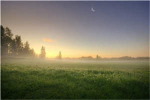 (全章节)我俩的恋情炒作-池彦宋小姿小说在线阅读