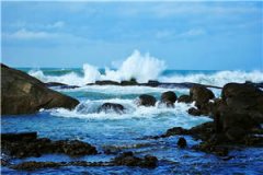 与世长重生的日子苏温顾时珩全文小说最新章节阅读