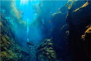 23918631封凉琛洛柒柒全章节小说章节目录阅读