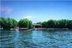 陆医生心尖宠苏羡意陆时渊全文全章节免费小说阅读