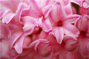 野王cpdd温裕慕渊完结版小说全章节阅读