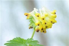 为什么会有数字全本小说为什么会有数字免费章节阅读