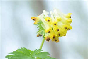 为什么会有数字全本小说为什么会有数字免费章节阅读