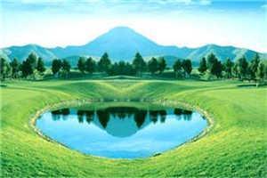 墨少卿顾思/她回来了（墨少卿顾思）全文免费阅读_墨少卿顾思/她回来了最新章节小说免费阅读_笔趣阁