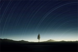 魏羽慈秦之南全文免费阅读_（魏羽慈秦之南）最新章节阅读