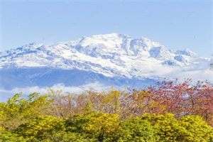 妙笔燃火小说最新章节 谢窈窈江燃在线看