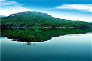 英年宠婚:她专治傲娇小说全文免费阅读_（韩策沈笑）全章节最新阅读