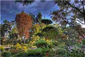 枕边香小说（祁召南孟兰漪）全文免费阅读无弹窗_枕边香《祁召南孟兰漪》最新章节