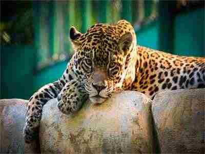 席洋彭季暖笙全文免费阅读-席洋彭季暖笙知乎小说