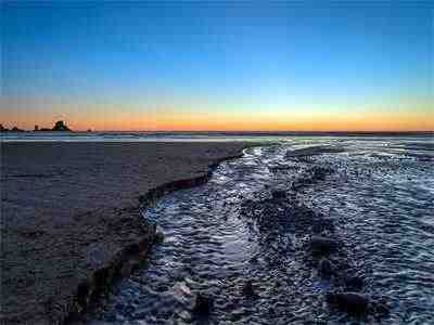 老书虫书荒推荐热点小说容姝傅景庭-耽美微小说（傅总，夫人又闹离婚了）容姝傅景庭