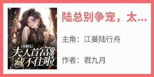 陆总别争宠太太一心为国争光by江曼陆行舟在线阅读