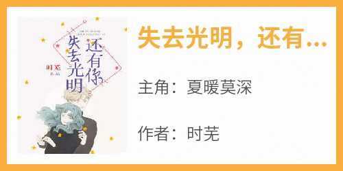 新上《失去光明还有你》时芜小说免费阅读