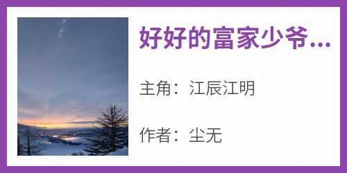 《好好的富家少爷不做要做流浪汉》最新章节 江辰江明全文阅读
