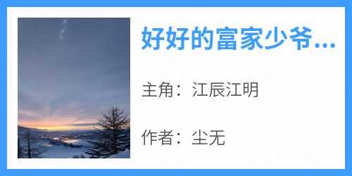 江辰江明是哪部小说的主角 江辰江明全文阅读