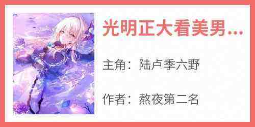 陆卢季六野小说无广告阅读