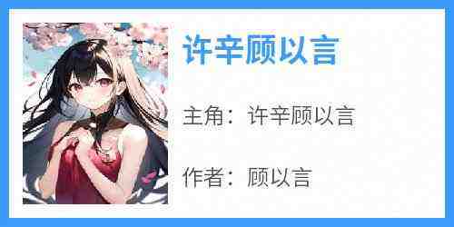 许辛顾以言小说全文在线阅读