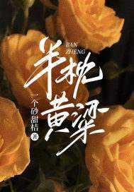 《半枕黄粱》小说章节列表免费试读，沈星仪孟暨承小说在线阅读