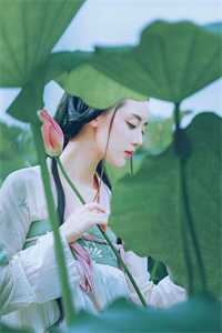 瞎眼赘婿,老婆竟是当朝女帝 笔趣阁