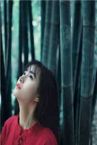 我靠氪金无敌诸界