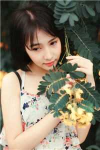 一觉醒来变赘婿
