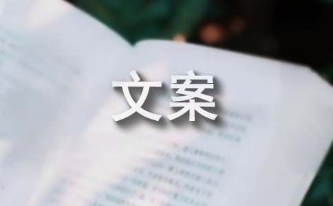 [必备]温柔干净的文案15篇