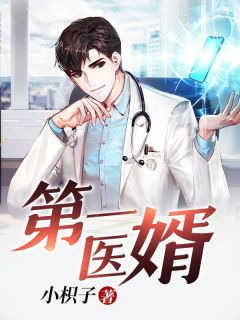 第一医婿陈宇沐歆瑶第2章全本大结局阅读