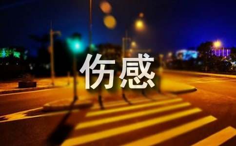 【精华】2024年伤感个性句子65句