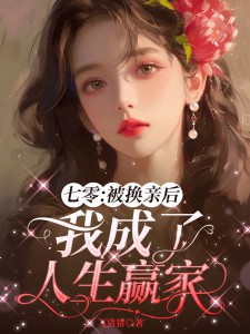 江婉陆子豪小说（姻缘一换，人生璀璨）无删减版阅读