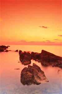 卫析巍云千忆小说