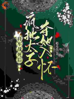 《沈宁音谢景珩沈柔菲》小说章节列表精彩阅读_将军战死后，疯批太子夺她入怀小说全文