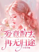 爱意散去再无归途姜年姜沉舟，爱意散去再无归途在线无弹窗阅读
