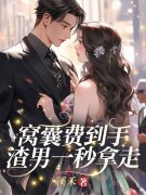 许念初陆景琛小说《窝囊费到手，渣男一秒拿走！》免费阅读