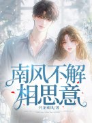 《南风不解相思意》全集免费在线阅读（苏瑾瑜赵寒辰）