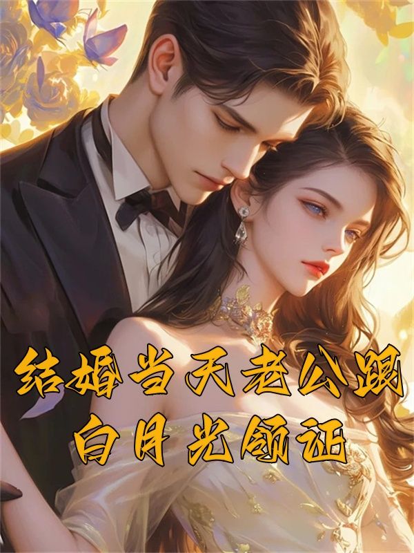 林落傅渊迟小说《结婚当天老公跟白月光领证》免费阅读
