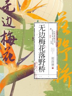 《无边梅花落野桥》小说大结局精彩试读_田素梅许文川小说全文
