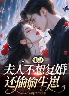 乔可星霍战辰(霍总，夫人不想复婚还偷偷生崽)全文完结免费试读精彩章节