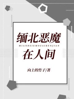《缅北恶魔在人间》孟琳东哥小说最新章节目录及全文完整版