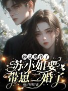 顾总别作了，苏小姐要带崽二婚了苏岚顾晏行小说在线免费阅读