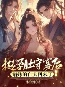 挺孕肚守寡后，错嫁的亡夫回来了全文目