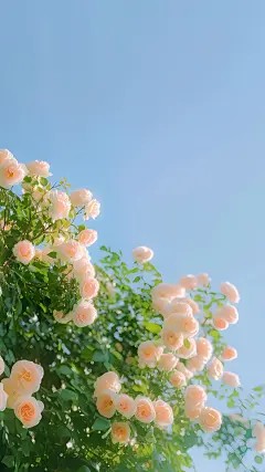 主角叫莉娜张伟的小说_未婚夫把我车行送小三后，我杀疯了在线阅读全文