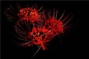 四点“多之病”